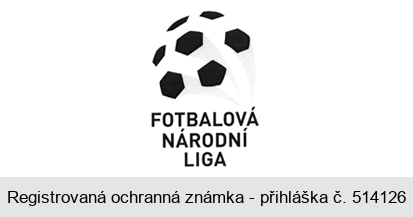 FOTBALOVÁ NÁRODNÍ LIGA