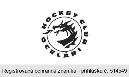 HOCKEY CLUB OCELÁŘI