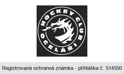 HOCKEY CLUB OCELÁŘI