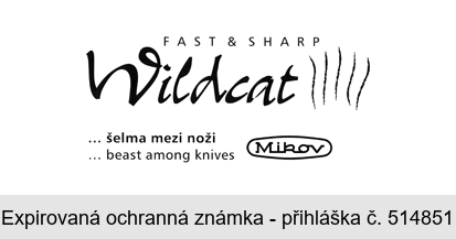 Wildcat FAST & SHARP ... šelma mezi noži ... beast among knives Mikov