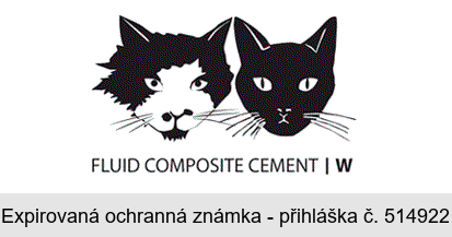 FLUID COMPOSITE CEMENT W