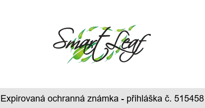 Smart Leaf