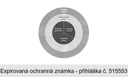 Sociální dopad Ekonomický dopad Pracovní prostředí Fyzické zdraví Psychické zdraví