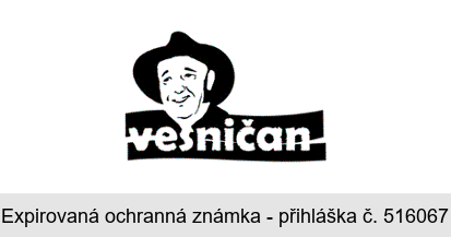 vesničan