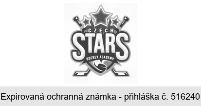 CZECH STARS HOCKEY ACADEMY