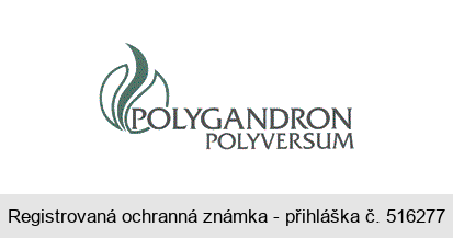 POLYGANDRON POLYVERSUM