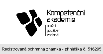 Kompetenční akademie umění používat znalosti