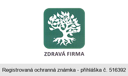 ZDRAVÁ FIRMA