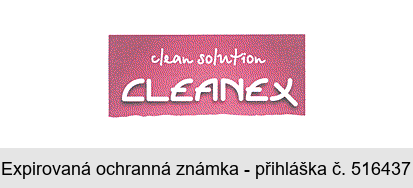 clean solution CLEANEX