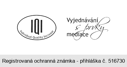 IQI Individual Quality Increase Vyjednávání s prvky mediace