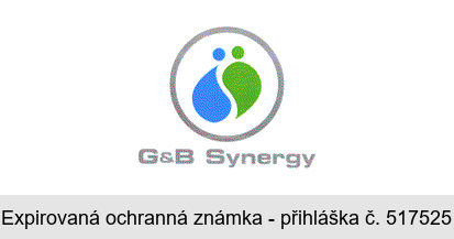 G&B Synergy