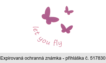let you fly