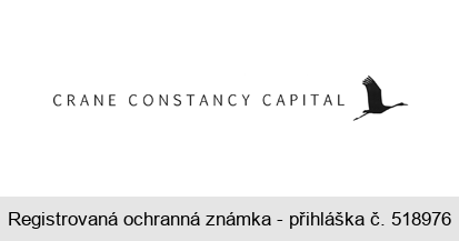 CRANE CONSTANCY CAPITAL