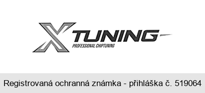 TUNING PROFESSIONAL CHIPTUNING