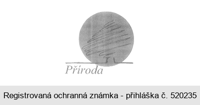Příroda