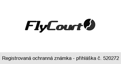 FlyCourt