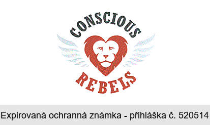 CONSCIOUS REBELS