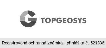 G TOPGEOSYS