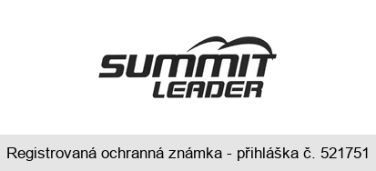 SUMMIT LEADER