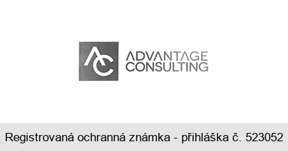 ADVANTAGE CONSULTING AC