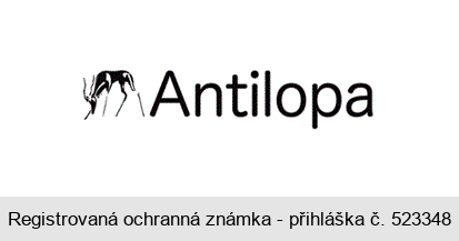 Antilopa