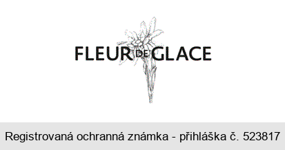 FLEUR DE GLACE