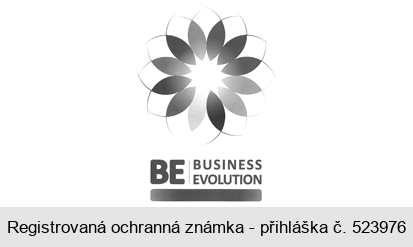 BE BUSINESS EVOLUTION