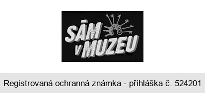 SÁM V MUZEU