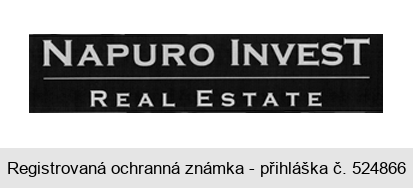 NAPURO INVEST REAL ESTATE