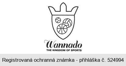 Wannado THE KINGDOM OF SPORTS