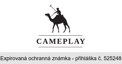 CAMEPLAY