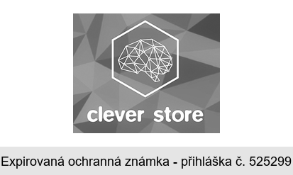 clever store