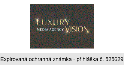 LUXURY MEDIA AGENCY VISION