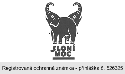 SLONÍ MOČ