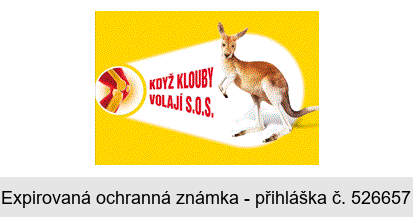 KDYŽ KLOUBY VOLAJÍ S.O.S.