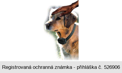 Ochranná známka