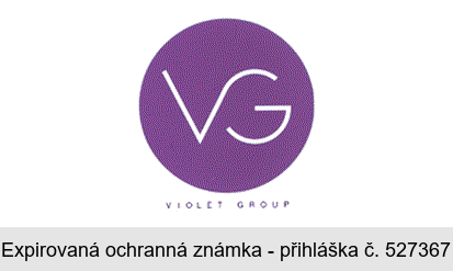 VG VIOLET GROUP