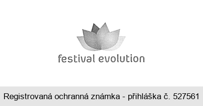 festival evolution