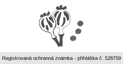 Ochranná známka