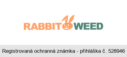 RABBIT WEED