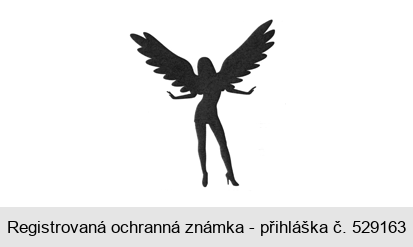 Ochranná známka