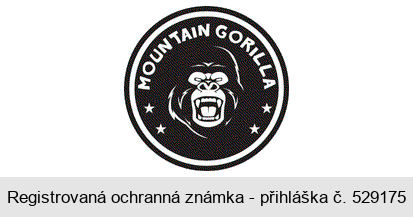 MOUNTAIN GORILLA