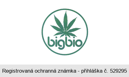 bigbio