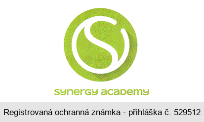 synergy academy