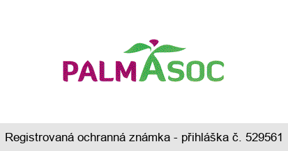 PALMASOC