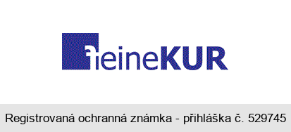 feineKUR