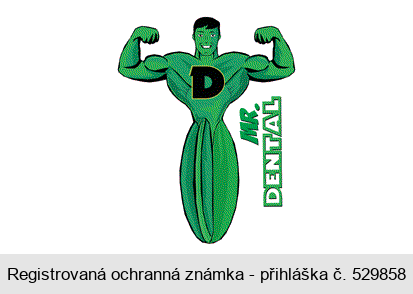 D MR. DENTAL