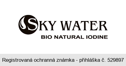 SKY WATER BIO NATURAL IODINE