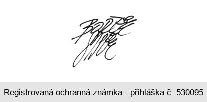 BOŘEK ŠÍPEK