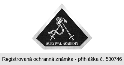 SURVIVAL ACADEMY